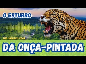 A Onça-Pintada e Seu Esturro: O Rugido do Predador Mais Temido que Ecoa nas Profundezas da Amazônia!