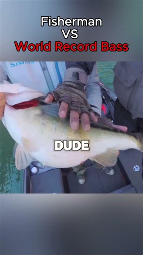 Fisherman VS World Record Bass