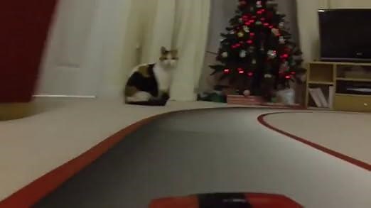 Real FX Racing: Slotless Racetrack System Including Two RC Cars and Handsets with Artificial Inte...