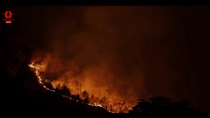 8.7K views · 43 reactions | Forest Fire in Anantnag: Urgent Need for Prevention and Action! | Radio Raabta 90.8 FM | Facebook