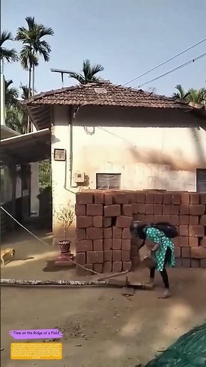 Lifting Bricks the Old-School Way: How a Rope, a Beam, and Gravity Built This House