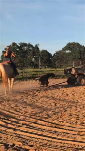 get itt mason #breakaway #fypシ゚viral #horse #rodeo #barrelselect #breakawayroping