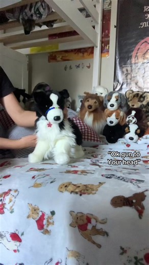 The new wolf that is coming is actually one of my dream Douglas’s!I might base him off of a stranger things character or myself#douglasdogcollector#douglasdogplush🐕#douglasdog#douglasdogfypシ゚viral#douglasdogs