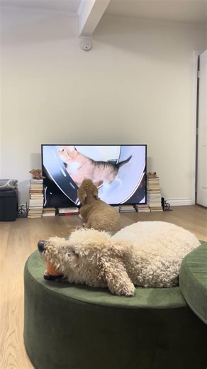 (Mostly) Eleanor Watching Nordic Beast commercial and Super Mario Bros. trailer