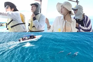 Watch: Jung Jun Won, Kang You Seok, Lee Soo Ji, And Kim Ah Young Enjoy A Dolphin Swim After A Day Of Hard Work In New Variety Show | Soompi