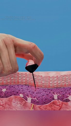 #Science #USA #Knowledge #3d #tiktok | science