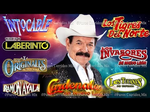 Grupo Laberinto, Cardenales de Nuevo León, Los Tigres, Los Invasores,Los Tucanes - Corridos Mix 2026