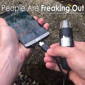 🔬Take this microscope anywhere and discover the hidden world around you. ✅ Android, PC & Mac Support ✅ Full HD Video & Photography ✅ Zoom in 1000x Order Yours➡️ humblehousehold.com/microscope Order Yours➡️ humblehousehold.com/microscope | Humble Household