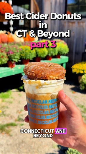 Food + Travel on Instagram: "CIDER DONUT SERIES — Part 3 🍎🍩 Just over the CT border, @quonniefarms serves cider donuts made fresh daily, always warm + simple. Pair one with their Scarecrow (cider, whipped cream, caramel & a donut on top) or try the cider donut ice cream sandwich. Saturdays bring street corn, s’mores & a farm market full of fresh bakes + flowers. A true fall destination."