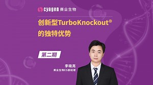 大小鼠模型定制更优解——创新型TurboKnockout®的独特优势！
