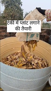 Container Garden GLOW UP! (2026 Hacks You NEED)