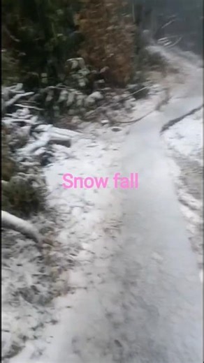 #snowfall