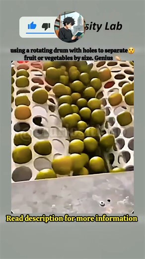 How🤔the Rotary Drum Sorter Works! 😱 it's amazing #shorts #rotary #drums #sorter #how