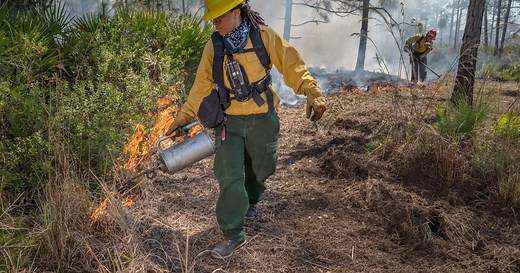 Why We Work with Fire