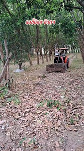 ไปจ้า 1 สวนวันนี้ | Som Supatsara