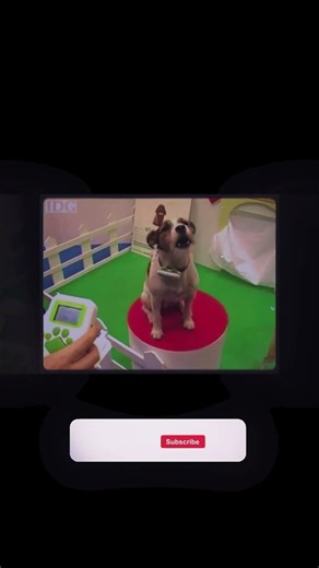 SMART PET TRANSLATOR | Electrifying Tech Marvels of 2025 #shorts #inspiration #viral