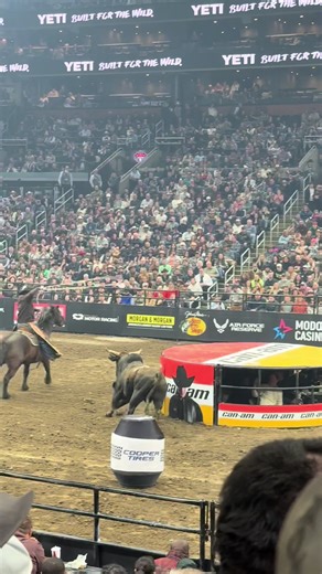 Bull on the loose #bull #horses #bullriding #rodeo #pbr