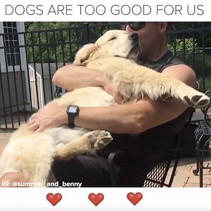Truly dogs are too good for us | BuzzFeed Video