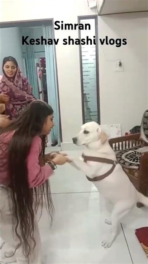 simran wedding ll Behind the scenes #keshavshashi #wedding #keshavshashivlogs #viral #shortssimran