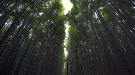 🔥 Make your videos fly through text! Watch our new tutorial and try this creative video transition for free in VSDC: https://youtu.be/_IdJpmHDpys | VSDC