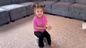 SunnySmile portable, foldable potty seat for toddler, Training Toilet Seat Emergency Toilet for Car, Camping, Outdoor, indoor (grey, small)