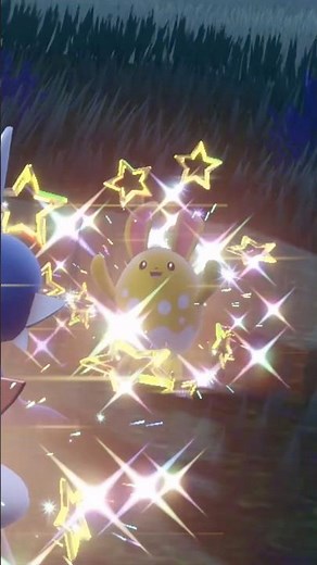 CHUNKY!! Shiny Azumarill