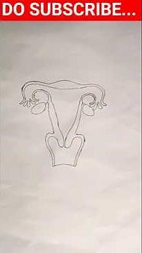 How to draw easily female reproductive system/ Draw female reproductive system step by step