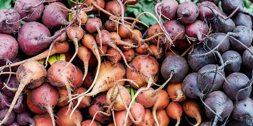 An expert says don't waste your money on beetroot supplements—try this instead | Fortune