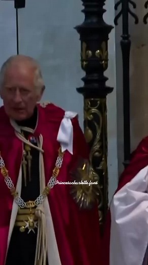 Charles dons traditional robes for westminster servise#princecharles #bririshmonarqui #foryou #xyzbca