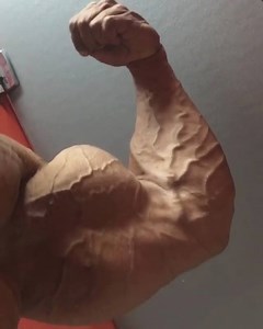 James Bondi | Stars of Bodybuilding
