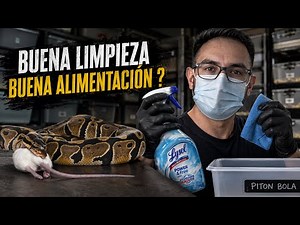 Try this to IMPROVE your snakes' DIET | Afsand R.