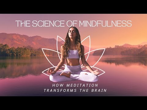 The Science of Mindfulness | How Meditation Transforms the Brain