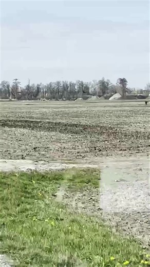 Tu connais la fable de La Fontaine « Le corbeau et le renard »? 🐦‍⬛ 🦊 Cet après-midi c'était les corbeaux et Le renard. Sortis de je ne sais où j'ai eu cette magnifique surprise de le voir courir à fond à travers champs. Les corbeaux criaient et lui rasaient la tête …Pourquoi ? Une sorte d'alerte. Ce qui est sûr, c'est que j'étais heureux comme un poisson dans l'eau ou comme un enfant à Disney. Une scène incroyable ! @super fans #Renard #fable #lafontaine #corbeau #lecorbeauetlerenard #video |