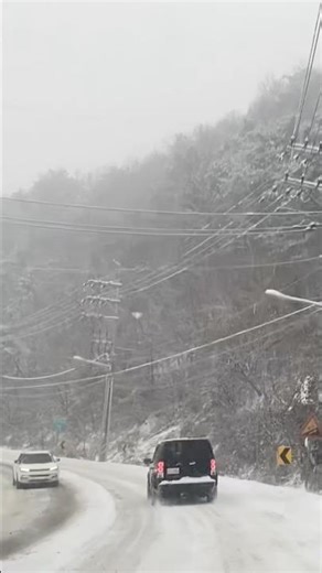 snow fall starting 🥶#shortvideo #nature #shorts