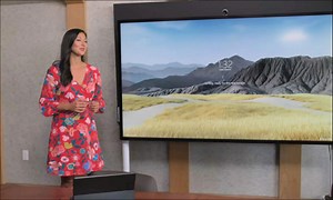 Microsoft Tunda Update Windows 10 Team 2020 Untuk Surface Hub 2S