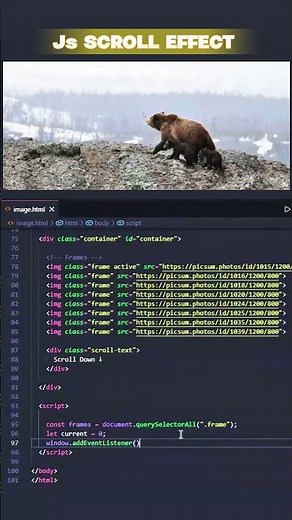 Image Scrolling JS Effect | Full Stack Web Development Course #shorts #coding #html #css