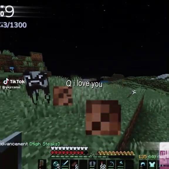 Allegiance Duo Return: ItzSans & QuakiTus Bliss SMP Edit