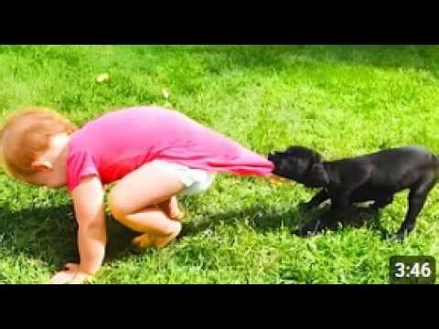 Los Mejores Videos de Bebés Divertidos ¡Risas Garantizadas! 😂👶#19