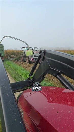 Maxxum 145 Case IH Silage😍🌽