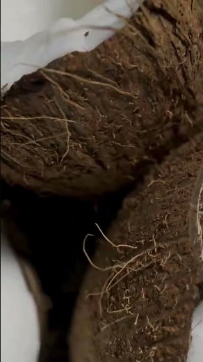 Coconuts Aren’t Actually Nuts — Here’s What They Are