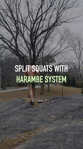 Harambe System on TikTok