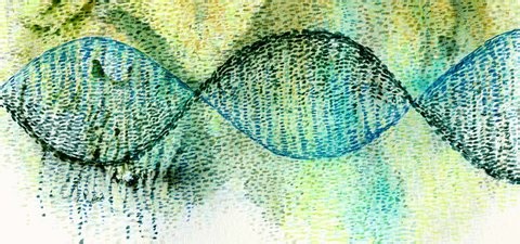 Noah Rosenberg: How biology is becoming more mathematical