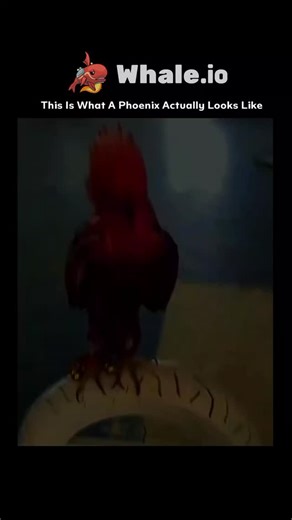 knowverse🧠 on Instagram: "In Latin, the word phoenix comes with a long “i,” marking its classical pronunciation. It refers to a legendary firebird — often imagined like a radiant eagle with glowing gold and scarlet feathers. According to myth, the Phoenix lives for centuries before building a fragrant nest, burns itself to ashes, and is reborn with renewed youth. This fiery cycle of death and rebirth makes it a powerful ancient symbol of immortality. . . ."