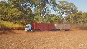 75K views · 1.9K reactions | ESSA É APAIXONADA | Drone Farming | Facebook