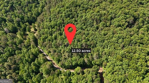 0 Gold Springs Rd, Cherry Log, GA 30522 | Estately 🧡 | MLS# 10764767