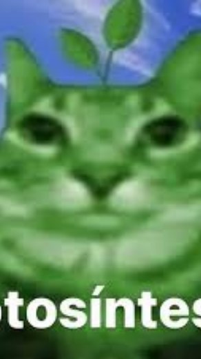 Tutorial rápido para hacer emotiza en móvil | Free Fire