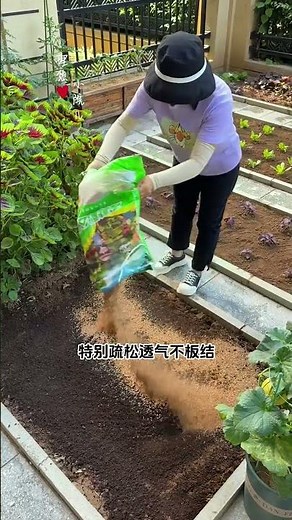 How to improve compacted soil Try this little trick! #soilcompactment