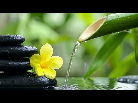 Healing Sleep Meditation.mp4