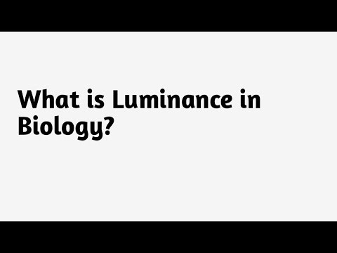 What is Luminance in Biology ?