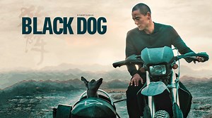 Black Dog - Apple TV (CA)